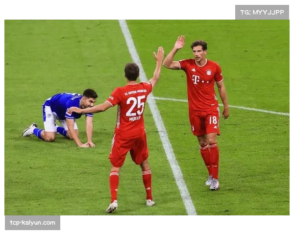 德甲联赛上座率回升 球迷热情持续高涨